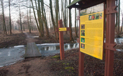 23_Kint+ girininkijos takas.jpg